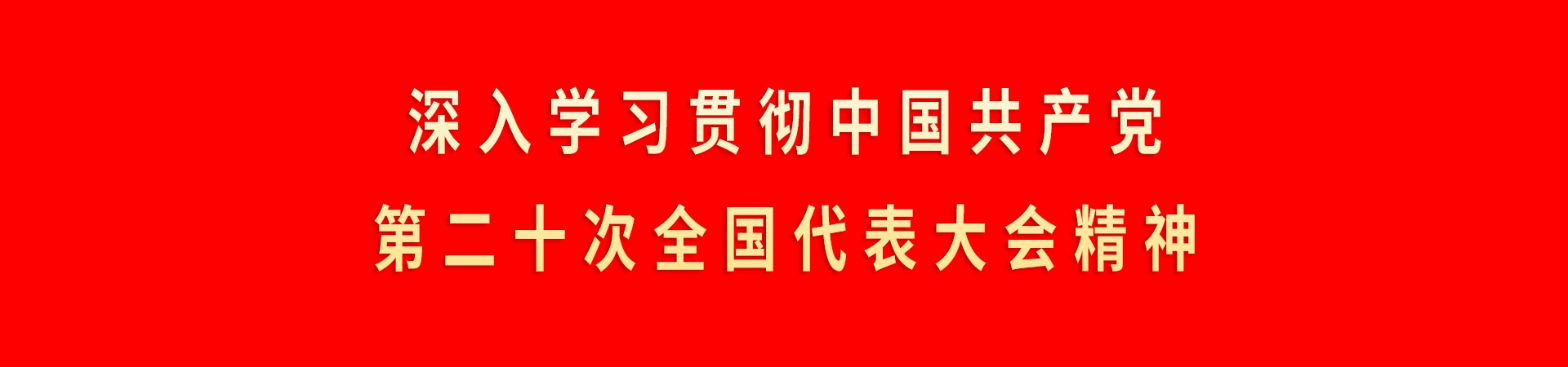 深入學習貫徹中國(guó)共産黨第二十次全國(guó)代表大會精神